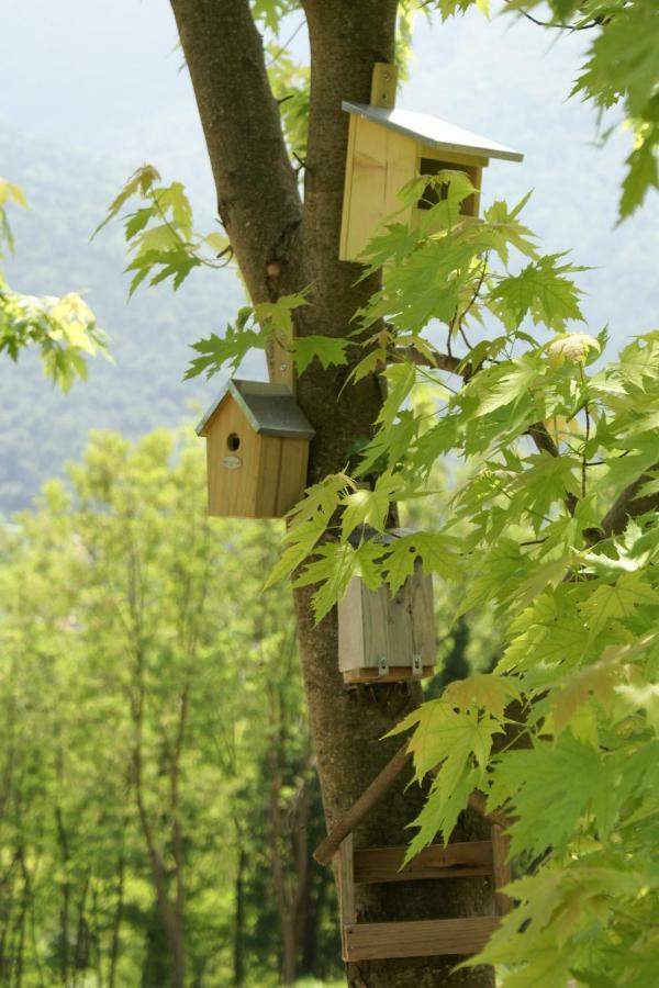 Coste Del Gaggio - Country House B&B - Garda Trentino Drena Bagian luar foto
