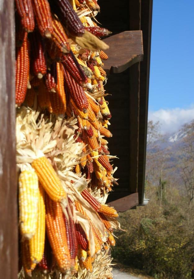 Coste Del Gaggio - Country House B&B - Garda Trentino Drena Bagian luar foto